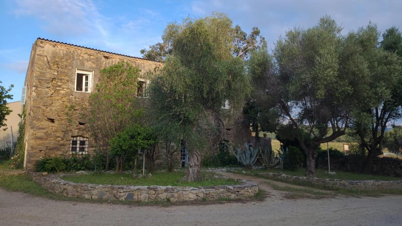 Palasca  Domaine Ostriconi Bed & Breakfast エクステリア 写真